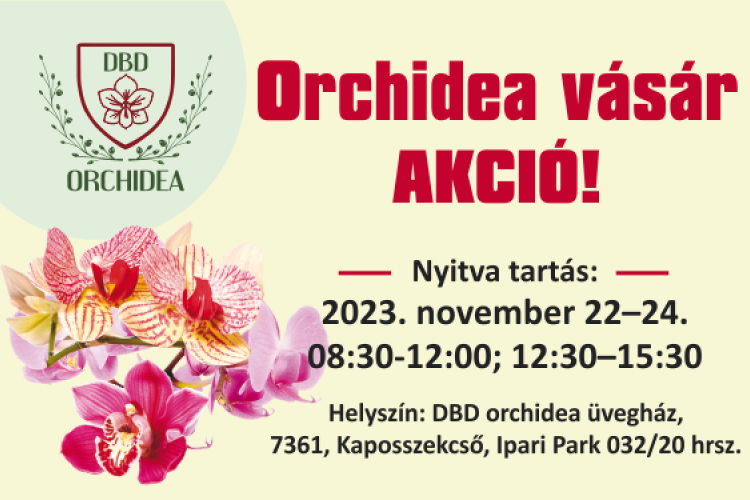 Orchidea vásár AKCIÓ!