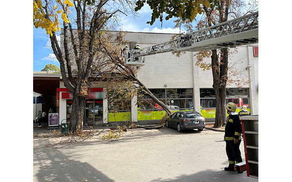 Parkoló autóra esett egy hatalmas faág Dombóváron